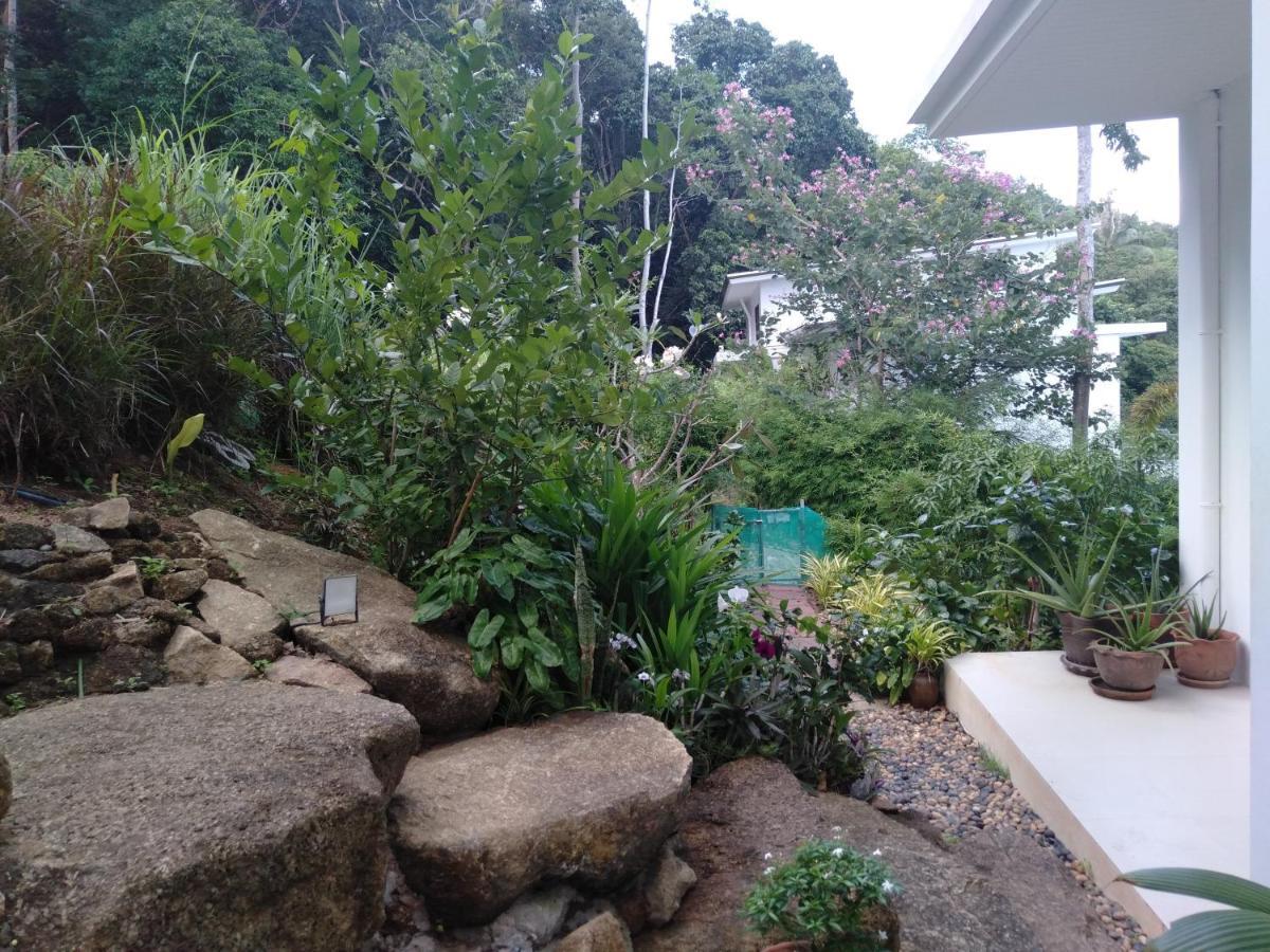 Perfect Sea View Mountain Villa Koh Samui Chaweng  Eksteriør bilde